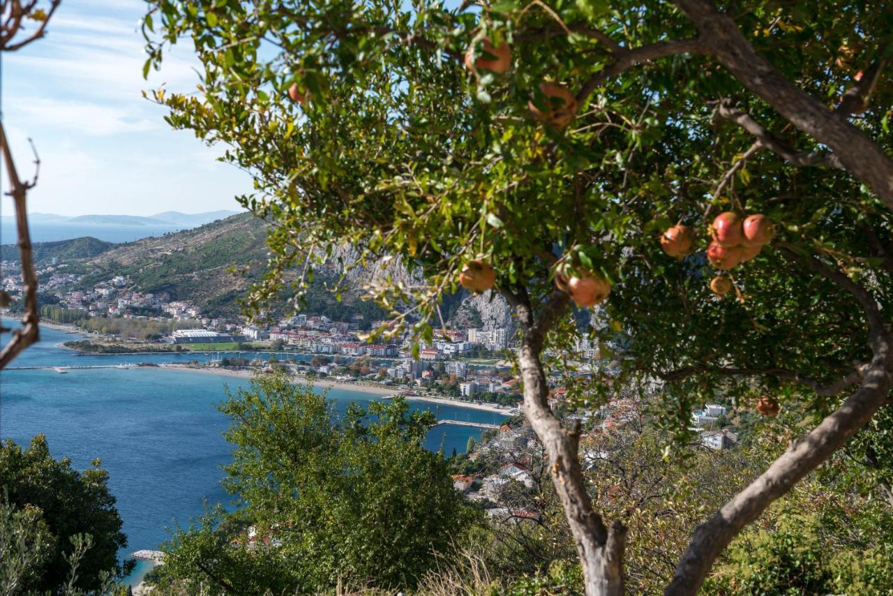 Pikolo Apartments Omis Tice Dış mekan fotoğraf